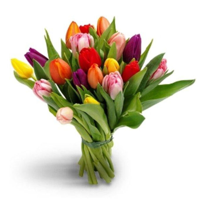 Tulpenboeket