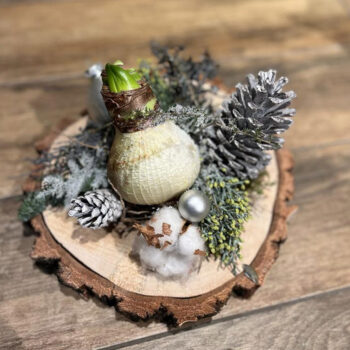 Houtschijf met witte amaryllisbol, zilveren dennenappels en wintergroen